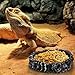 Frcctre 4 Pack Reptile Food Dish with Feeding Tongs, Resin Reptile Water Dish Food Bowl Feeding Terrarium Bowl for Leopard Gecko Lizard Tortoise Frog Bearded Dragon Chameleon