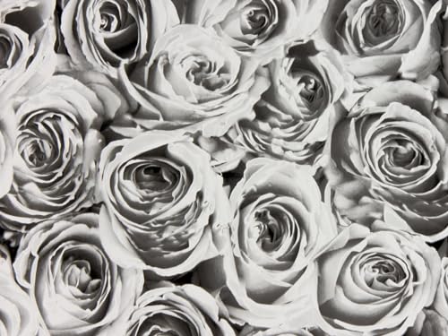 78.74 x 17.71 in. Roses White & Grey Adhesive Film Set of 2