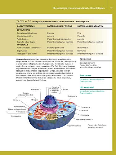 Microbiologia e imunologia geral e odontológica: volume 1 Microbiologia e imunologia geral e odontológica: volume 1 - Imagem 6