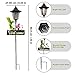 Crosslight Solar LED Hummingbird Welcome Sign - Weatherproof Garden Stake Light for Outdoor Decoration - Decor for Yard, Lawn, Patio, Pathway, Backyard | Warm White