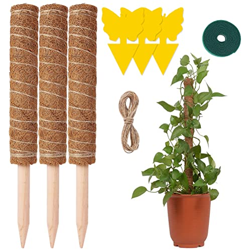 Olasfa 3 Pièces Tuteur Coco 40cm Tuteur Monstera Tuteurs pour Plante Grimpante Fibre de Coco Support Plante Interieur pour Monstera Plantes Grimpantes Jardin Maison