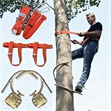 Picos de escalada ajustables con mosquetón de bloqueo, equipo de arborista para escalada de árboles, equipo de supervivencia en la selva, accesorios esenciales de escalada
