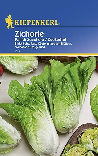Kiepenkerl 314 Zichorie Zuckerhut (Zichoriensamen)