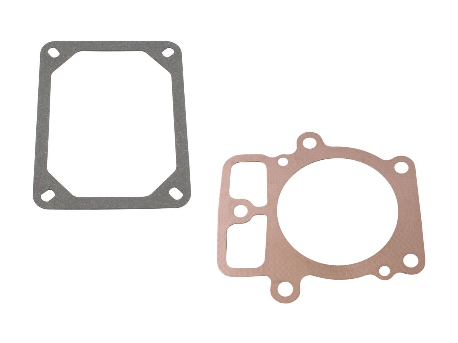 SECURA Joint de couvre-soupape + joint de culasse compatible avec Briggs & Stratton 442577 Moteur