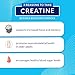 BodyTech 100% Pure Creatine Monohydrate Powder - Premium Micronized Creatine for Enhanced Muscle Strength and Performance - Supports Muscles, Recovery, and Increased Exercise (18oz/102 Servings)