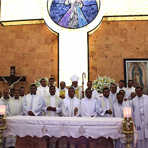 Creación de la Parroquia del Sr. de la Divina Misericordia de San Luis de la Paz Podcast Por arte de portada