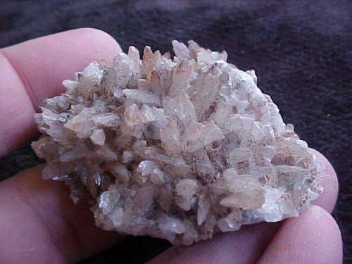 Gemqz D4311 Calcite Doogteeth Multipoints in Quartz Matrix