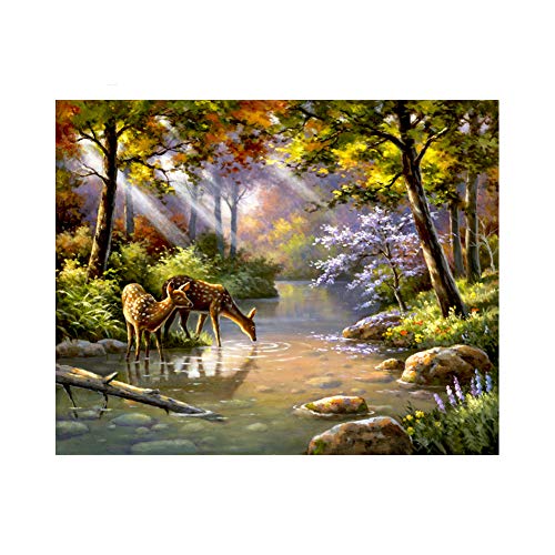 Kit de peinture par numéro pour adulte, kit de peinture sur toile par numéro pour enfants ou débutants avec pinceaux de peinture, pigment acrylique, peinture à dessin, 40 x 50cm sans cadre (Creek) Cover