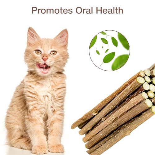 Image of 10PCS Natural Silvervine Sticks | Matatabi Catnip Dental Sticks Cat | Indoor Chew Toys | Wooden Engaging Stick for Teeth Cleaning | Edible Kitty Toys | Teeth Molar Tool | Cat Treat Toy