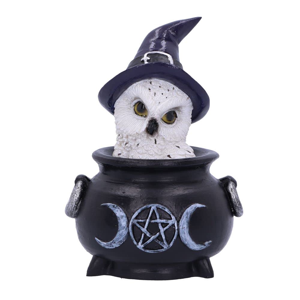 Nemesis Now Owl's Brew 10cm, Black