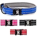 Elite Paws® UK. Premium Dog Collar Metal Buckle, Soft Padded Mesh, Reflective, Strong, Adjustable. Puppy Puppies XS Small Medium Large Extra XL Boy Girl Male Female Pet Breeds (25cm-30cm, Blue/ Grey)