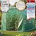 BRAST Gewächshaus Foliengewächshaus mit Stahlfundament | 2x3m - 3x8m | inkl. Erdanker Unkrautvlies & 6 Aufrollbare Fenster mit Moskitonetz | UV-stabilisierte Gitterschutzfolie 200g/m² | 200x300cm
