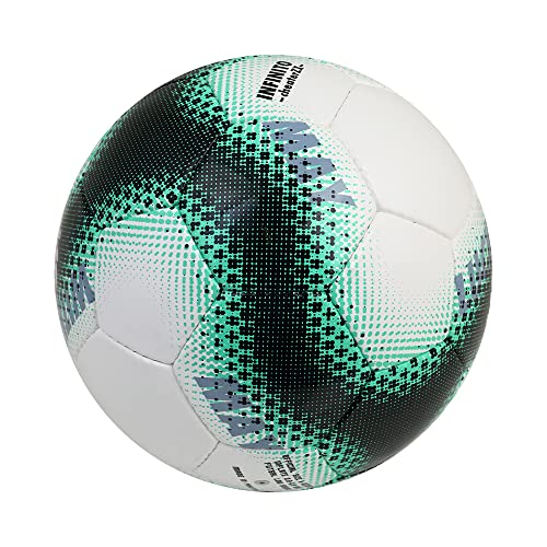 SFIDA INFINITO Cheater ZX 4 White Black 4号球