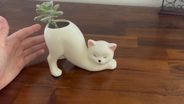 Amazon.com : Unique Tailless Cat Little Planter Pot, Cute Kitty