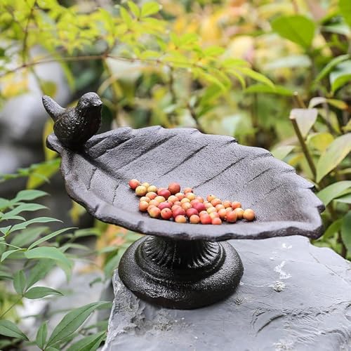 Plateau de rangement pour nourriture d'oiseaux avec station de bain intégrée