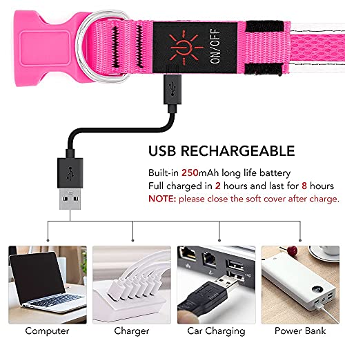 YFbrite Leuchtendes Hundehalsband, wiederaufladbares LED-Hundehalsband, verstellbares reflektierendes Hundehalsbands, Sicherheit leuchtet bei Nacht (Rosa, L)
