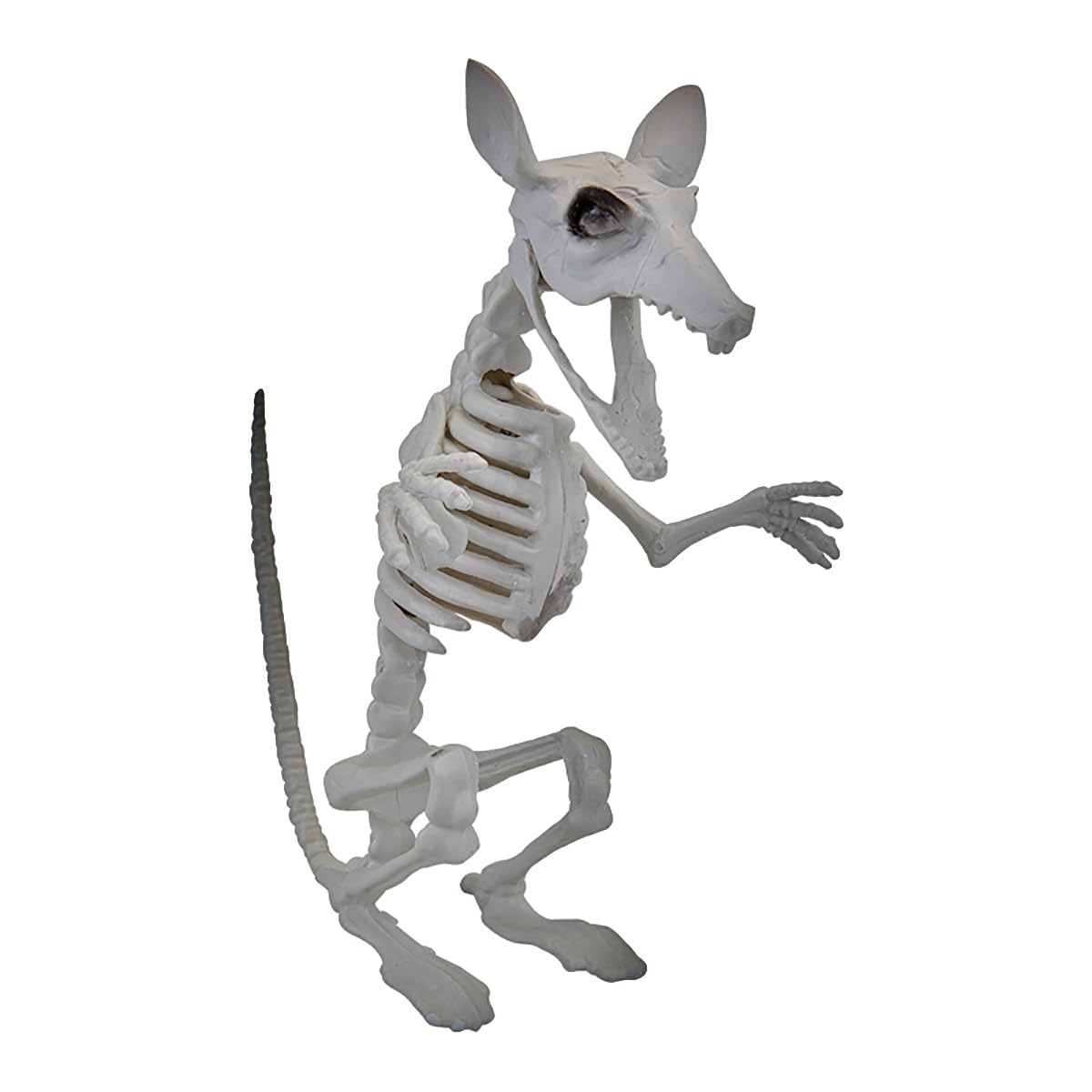 Large Rat Skeleton Halloween Decoration – 29cm Poseable Skeleton Animal Prop with Movable Head & Jaw – Creepy Plastic Rat for Haunted House, Indoor Displays, Table Decorations & Halloween Parties