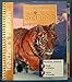 Houghton Mifflin Science: Teacher's Edition Unit Book Level 5 Physical 2007