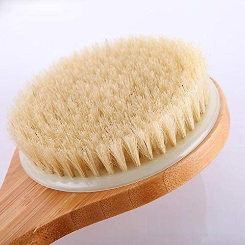 Spazzola da bagno Trattamento naturale della criniera di suino Massaggio del corpo in legno Spazzola da bagno per la salute Scrub per il lavaggio del corpo Spazzola per il corpo esfoliante pulita