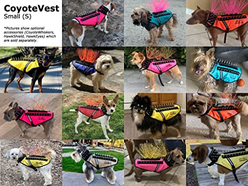 Coyotevest Dog Harness Protection Vest, Reflective Dog Accessories With Spikes To Shield Your Pet From Raptor And Animal Attacks, Proudly Made In America (Small, Turquoise) #TOP1