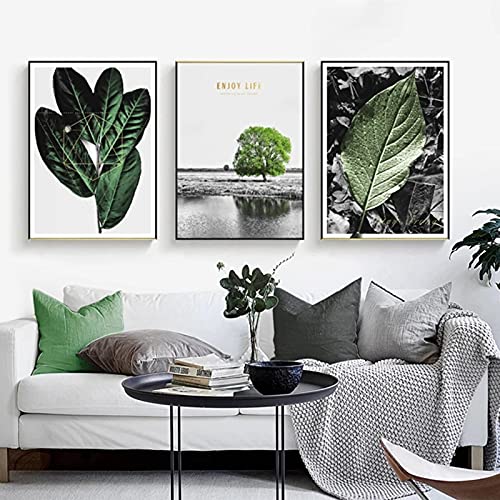 Plantes vertes affiche sans cadre pour raviver un mur blanc terne