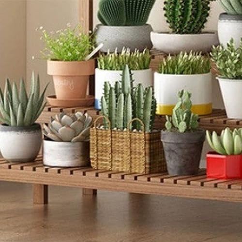Étagère multicouche pour balcon en bois idéal pour orchidées
