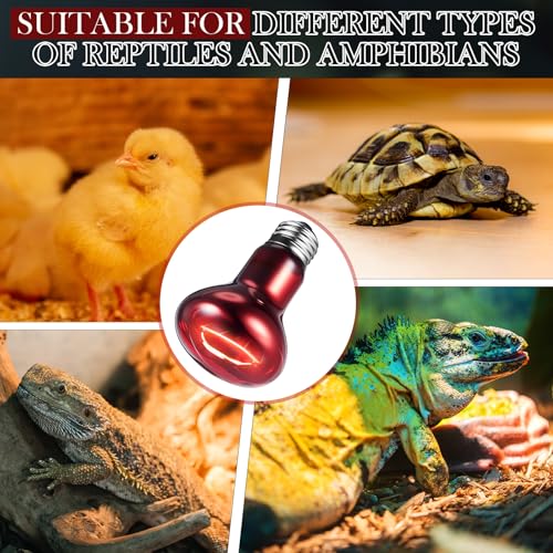 Image of VIHOSE 12 Pack 100 W Reptile Heat Bulbs Red Heat Lamp Bulb Infrared Lamp Red Basking Light Bulbs for Reptiles, Bearded Dragon, Lizard, Tortoise, Chickens, Leopard Gecko, Amphibian, Pets
