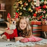 3 Stück Weihnachten Hunde Stirnband, Rentiergeweih Hund, Hundekostüme Weihnachten Elch Kostüm, Rentier Haarreif Haustier, Für Silvester Und Tiershows, Weihnachtsfeiern, Party-Dekoration