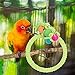 ULTECHNOVO 2pcs Parrot Cotton Puzzle Toy Cage Chewing Toy Parrot Hanging Toys Bird Climbing Stand Parrot Stand Rod Pigeon Stand Bird Swing Toys Rings to Climb Wood