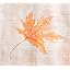 103 - Colours of Autumn
