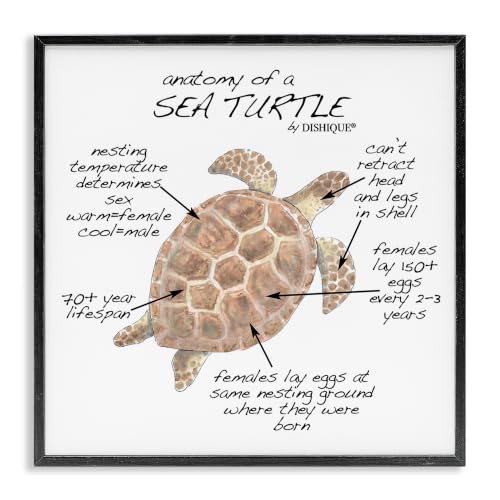 Sea Turtle Anatomy Marine Chart, 17 x 17 Inch Framed Giclée Print