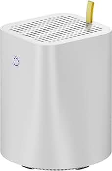 Amazon.co.jp: AOOSTAR R1 N100 (4C/4T, Up to 3.4GHz)ミニPC デュアル