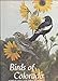 Birds of Colorado