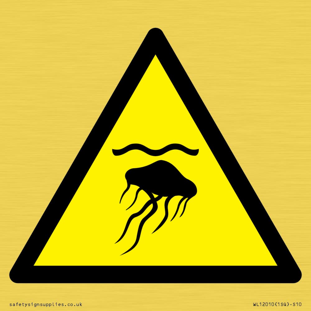 W069 Warning: Jellyfish Sign - 100x100mm - S10