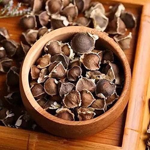 30 Stks Moringa Zaden Voor Buiten Tuinieren Planten En Verfraaien De Binnenplaats Versierde Tuin Voor Uw Huis Kleur… - Afbeelding 3