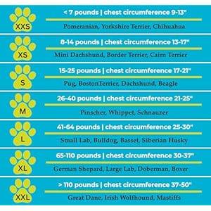 Cozyvest® Dog Anxiety Vest 3in1 Music  Aromatherapy Shirt Relaxing Sound  Essential Oils Jacket Fireworks Thunder Separation  Thunderstorm Canine Stress Relief Coat gray Xxs up to 7 Lbs  Cucciolini Doodles Cozyvest® dog anxiety vest 3 in 1 music  aromatherapy shirt relaxing sound  essential oils jacket fireworks thunder separation  thunderstorm canine stress relief coat gray xxs up to 7 lbs   cucciolini doodles