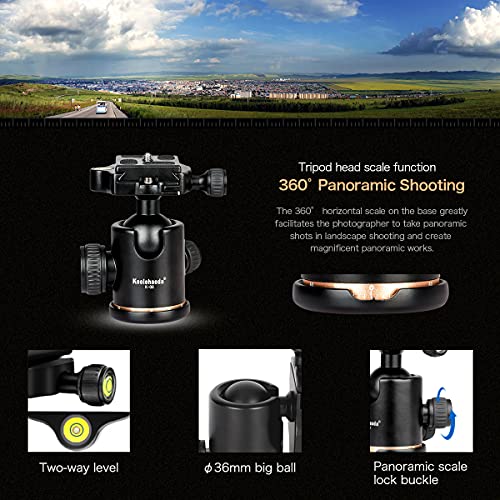 koolehaoda Profeshional Tragbare Aluminiuml Kamera Stativ Einbeinstativ & Kugelkopf SLR-Kamera KQ-666 – Bild 5