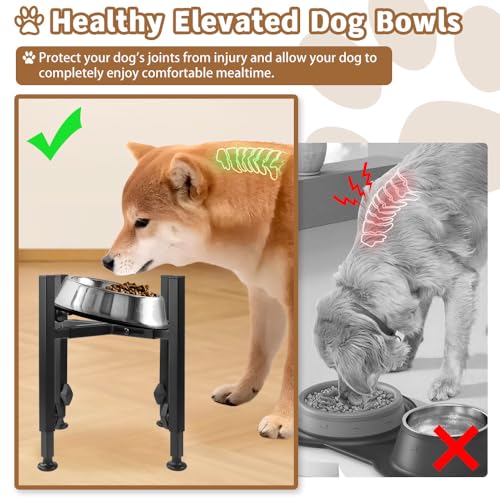 Erhöhter Hundenapf mit 10-15° Geneigten, 3 Höhenverstellbar 7,5-18,5cm Breit Futterstation Stabiler und Rutschfester Metall Futternapf Hund Erhöht für Kleine, Mittelgroße, Große Hunde (Nur Ständer)