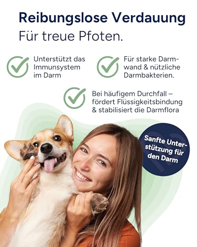 NutriLabs Colofor® Pulver 400 g - ehem. Estifor Pulver I mit Bentonit, L-Glutamin, Präbiotika etc. - Hund Durchfall