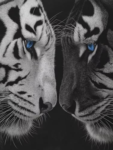 DIY  Lbg l q SҌ G g̓ ANG̋Zbgt 20x30cm hG XgX  v[g Mtg - |pIȑ̌ŊyށAiȃLoXƑN₩ȐFʁAW̓AbvAbNXʁAC