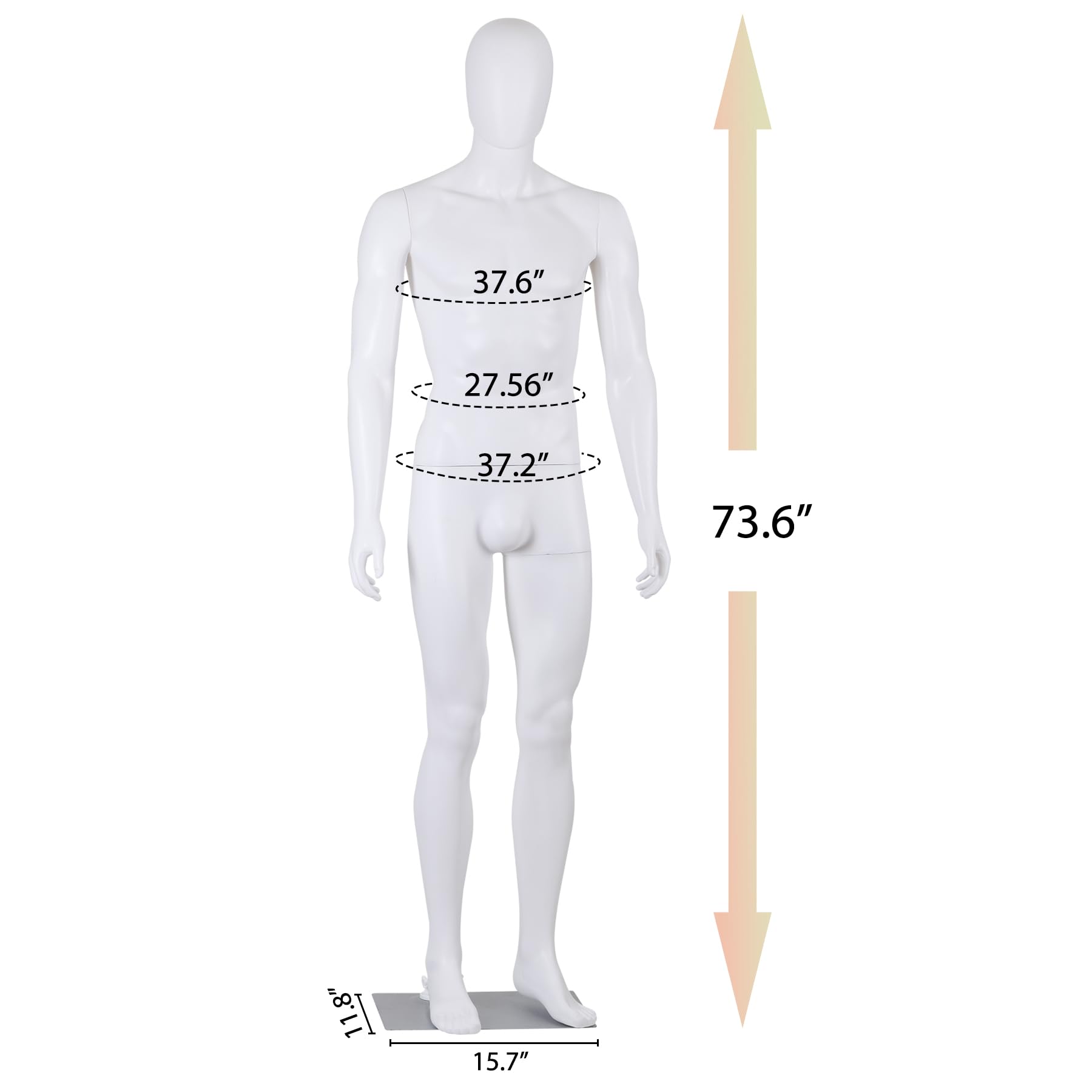 HomGarden Male Mannequin Manikin Full Body Dress Form, 73” Adjustable Mannequin Stand Realistic Mannequin Display Head Turns Dress Model w/Base, White