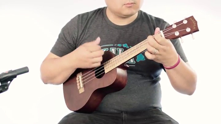 MAKALA ウクレレMK-C ケース+チューナー付き！ Amazon.com: Kala KA-MK-C Makala Concert Ukulele : Musical Instruments