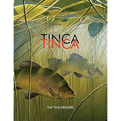 Tinca Tinca
