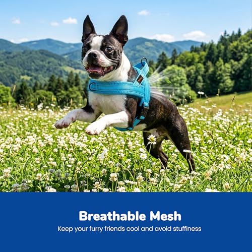 Image of Didog No Pull Dog Harness for Small Dogs, Breathable Mesh Padded, Blue, XS