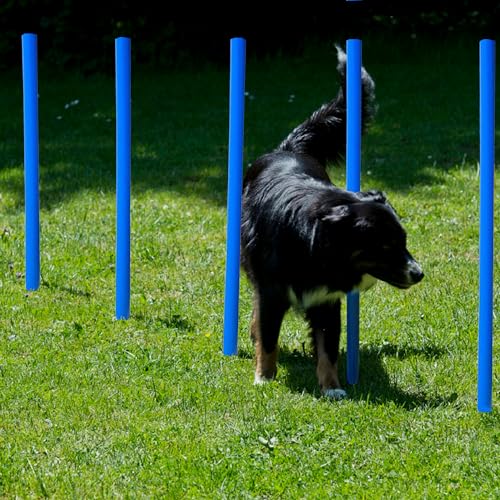 Lemodo Hunde Agility‑Set 12 Slalom‑Stangen, wetterfestes Slalom‑Set für Hundesport und Fußball, Agility‑Training, Hundetraining, Slalomstangen mit Metallspießen und Aufbewahrungstasche, Agility-Poles