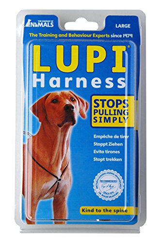 Best Lupi Dog Harness