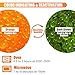 VOISEN 2 LBS Orange Indicating Silica Gel Desiccant Beads,Reusable Desiccant Industry Standard 3-5 mm,Desiccant for 3D Printer,Electronic,Clothes,Painting,Jewelry