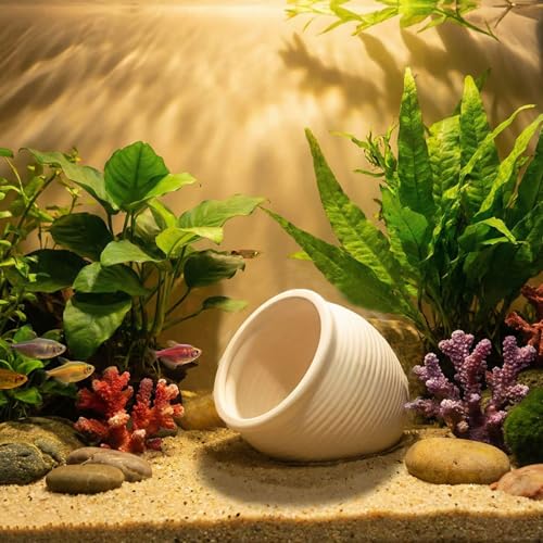 Image of RUIAN Ceramic Jar Aquarium Decorations Fish Tank Hideout Cave Cute Pot Aquarium Accessories Decor Ornaments for Cichlid, Small Fish, Betta Fish Hideout and House (White)