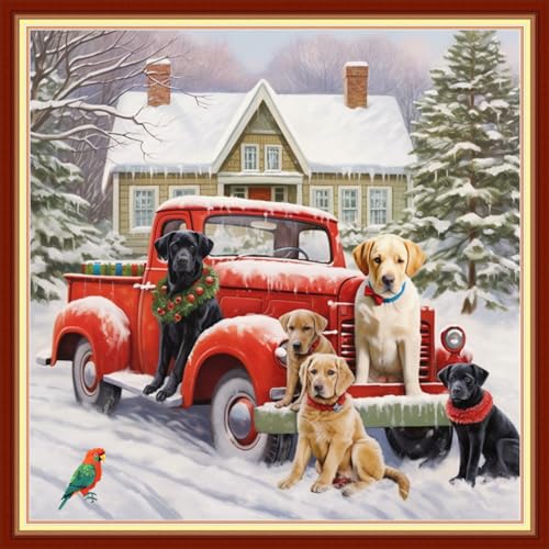 Image of Funxvoot Stamped Cross Stitch Kits Beginners Full Range of Embroidery Kits for Adults 11CT Embroidery Patterns Needlepoint kits Printed Cross Stitch Kits - (Winter Snow Scenery 18x18 inchs)