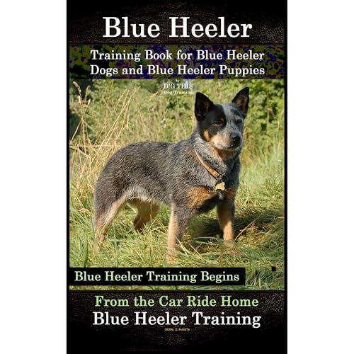 Blue Heeler Training Book for Blue Heeler Dogs and Blue Heeler Puppies By D!G THIS Dog Training by Doug K Naiyn episode artwork